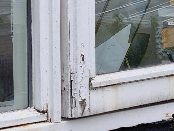 expert in uitdagingen ll schilderwerken.jpeg?1767126582&focus=48.50 97